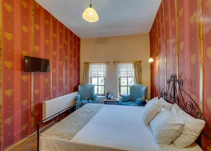 Ξενοδοχείο El Puente Cave 3*