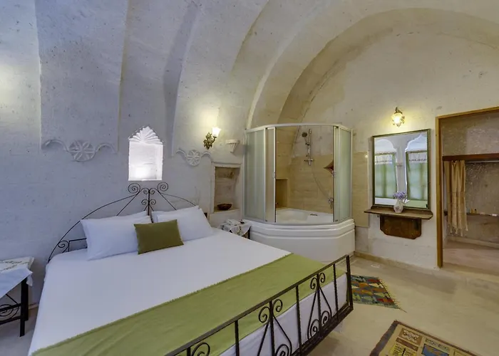 Hotel El Puente Cave 3*