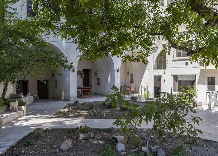 Hotel El Puente Cave 3*